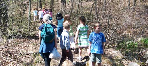 Walk in the Woods